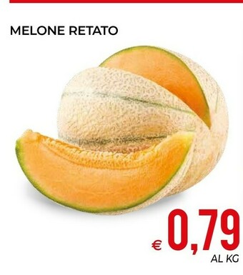 MD Discount Melone offerta