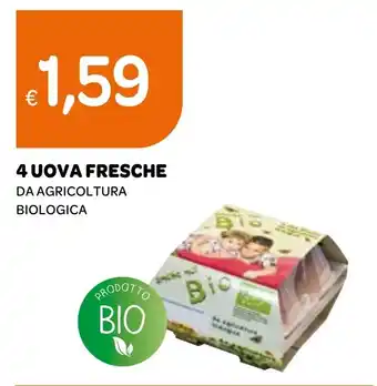 Ekom 4 UOVA FRESCHE DA AGRICOLTURA BIOLOGICA offerta