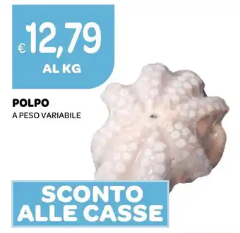Ekom POLPO A PESO VARIABILE offerta