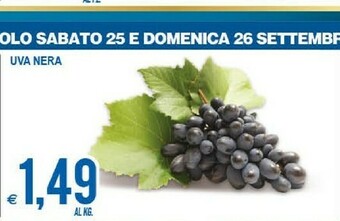 MD Discount Uva offerta