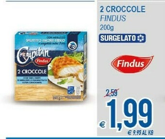 Findus Surgelati