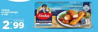 Deco Superfreddo FINDUS 12 BASTONCINI G 300 offerta