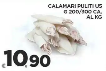Deco Superfreddo CALAMARI PULITI US G 200/300 CA. offerta
