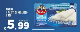 Deco Superfreddo FINDUS 4 FILETTI DI MERLUZZO G 360 offerta