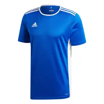 Decathlon Jersey adidas entrada 18 offerta