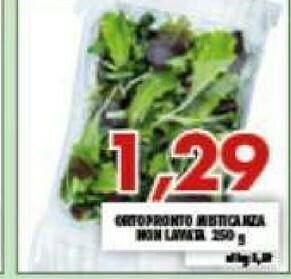 Gros Insalata offerta