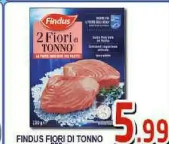 Gros Findus 2 Fiori Di Tonno 230 G(ml) offerta