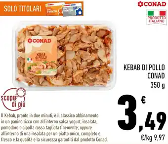 Conad KEBAB DI POLLO CONAD 350 g offerta