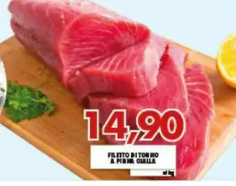 Gros Filetti Di Tonno offerta