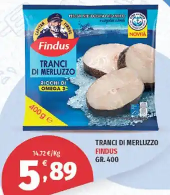 Vivo Supermercati TRANCI DI MERLUZZO FINDUS GR. 400 offerta