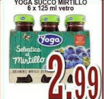Gros Yoga Preziosa Al Mirtillo Con Mirtilli Selvatici 750 G(ml) offerta