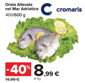 Carrefour Market Orata Allevata nel Mar Adriatico 400/600g offerta