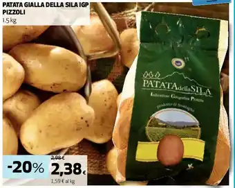 Coop PATATA GIALLA DELLA SILA IGP PIZZOLI 1,5 kg offerta