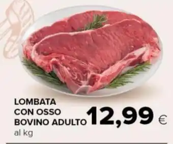 Tigre LOMBATA CON OSSO BOVINO ADULTO offerta