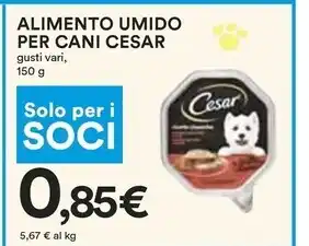 Coop Cesar alimento umido per cani offerta