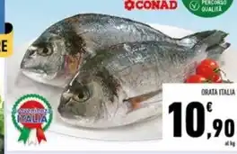 Conad Orata offerta