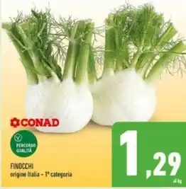 Conad Finocchi offerta