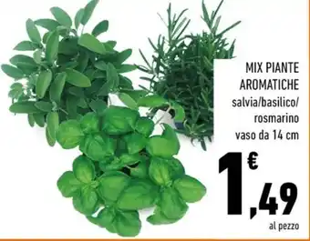 Conad Piante offerta