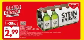 DPiù Steinhäuser - birra lager offerta