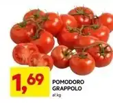DPiù Pomodoro grappolo offerta