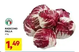 DPiù Radicchio palla offerta