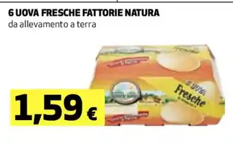Coop 6 UOVA FRESCHE FATTORIE NATURA da allevamento a terra offerta