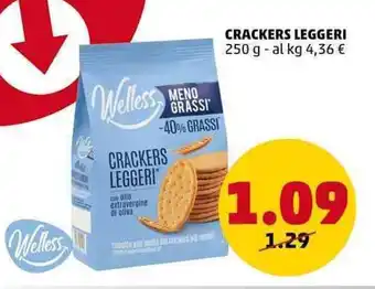 PENNY Welless CRACKERS LEGGERI 250 g offerta