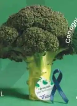 Despar Broccoli Citrus gr 500 offerta