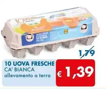 MD Discount 10 UOVA FRESCHE CA' BIANCA allevamento a terra offerta