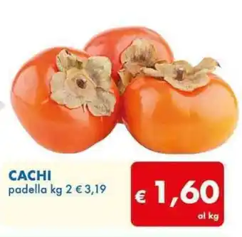 MD Discount CACHI padella kg 2 offerta