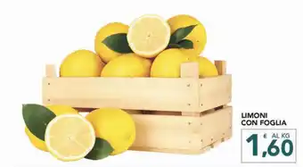 Altasfera LIMONI CON FOGLIA offerta