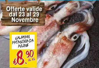 CALAMARI PATAGONIA DA PULIRE