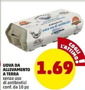 PENNY Uova Da Allevamento A Terra offerta