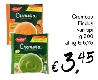 èccoMI Cremosa Findus vari tipi g 600 offerta