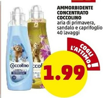 PENNY Coccolino Ammorbidente Concentrato offerta