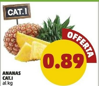 PENNY Ananas offerta
