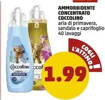 PENNY Coccolino Ammorbidente Concentrato offerta