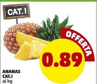 PENNY Ananas offerta