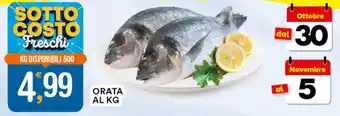 Gecop ORATA offerta