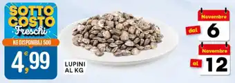 Gecop LUPINI offerta