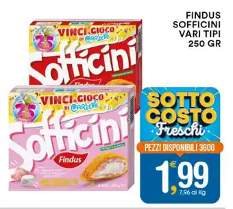 FINDUS SOFFICINI VARI TIPI 250 GR