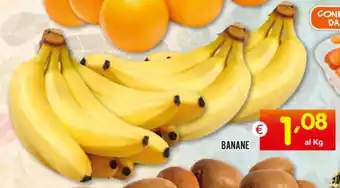 Centro Commerciale Discount BANANE offerta