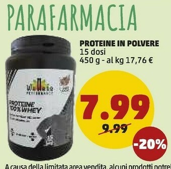 Proteine In Polvere