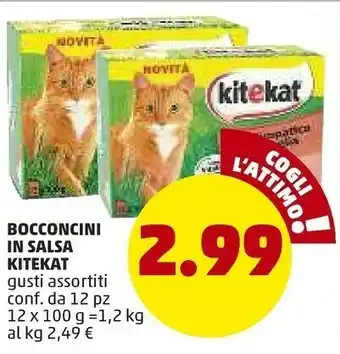 Kitekat Bocconcini In Salsa