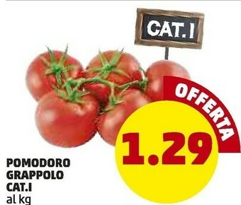 PENNY Pomodoro Grappolo offerta