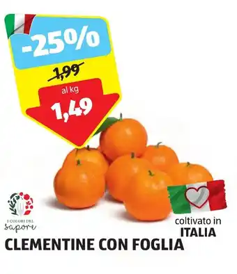 ALDI CLEMENTINE CON FOGLIA offerta