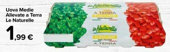 Carrefour Market Le Naturelle Uova Medie Allevate A Terra offerta