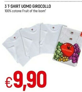 Famila Fruit of the loom T-shirt uomo offerta