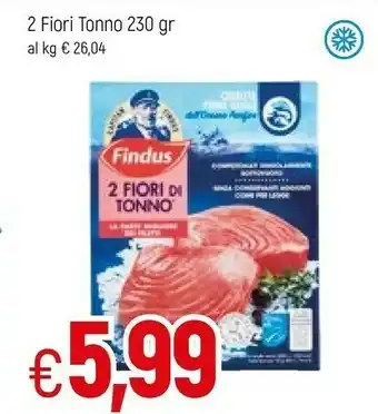 Famila Superstore Findus Pesce surgelato offerta
