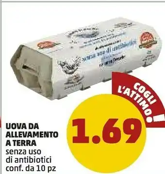 PENNY Uova Da Allevamento A Terra offerta